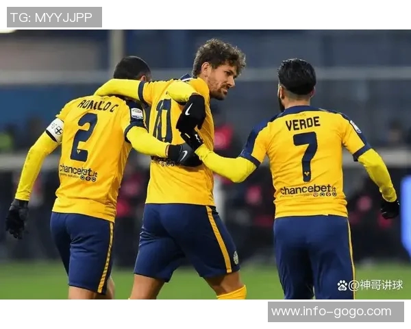 意甲分析：维罗纳主场形势严峻难以取胜的原因探讨